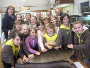 Brownies at Rothesay Museum